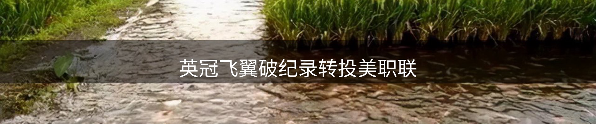 动态窗口